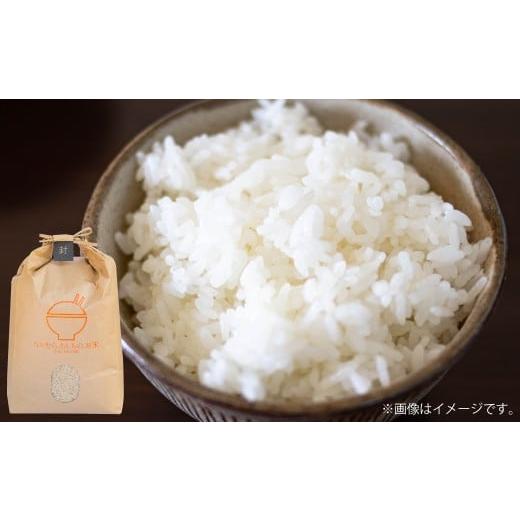 ふるさと納税 米 熊本県 あさぎり町 令和7年産 くまさんの輝き 5kg×1袋 2025年10月下旬〜2026年3月下旬迄発送予定 お米 米 精米 白米 ごはん ご飯 熊本県 あ…