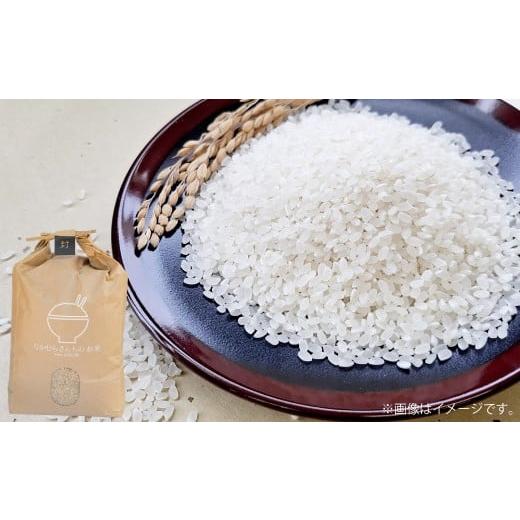 ふるさと納税 米 ヒノヒカリ 熊本県 あさぎり町 令和7年産 ヒノヒカリ 5kg×1袋 2025年10月下旬〜2026年3月下旬迄発送予定 お米 米 精米 白米 ごはん ご飯 熊…