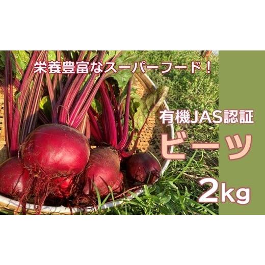 ふるさと納税 人参・大根・他根菜 大分県 臼杵市 栄養価の高いスーパーフード ビーツ(2kg)