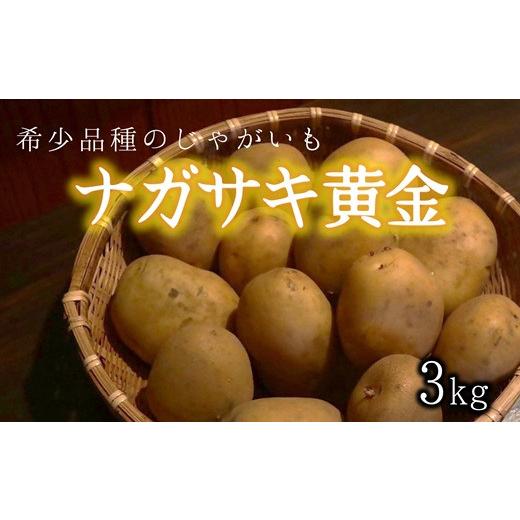ふるさと納税 野菜類 じゃがいも 大分県 臼杵市 味が濃厚・希少品種のじゃがいも『ナガサキ黄金』3kg