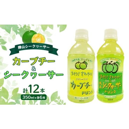 ふるさと納税 果汁飲料 沖縄県 名護市 勝山シークヮーサー カーブチー・シークヮーサー350ml×各6本 シークワーサー ドリンク 飲み物 果汁 柑橘 南国 トロピ…