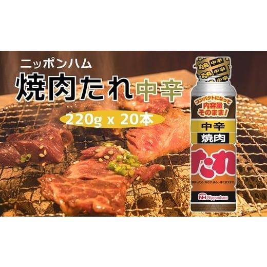 ふるさと納税 調味料・油 たれ 大分県 臼杵市 ニッポンハムのロングセラー 焼肉たれ 中辛 おまとめ20本