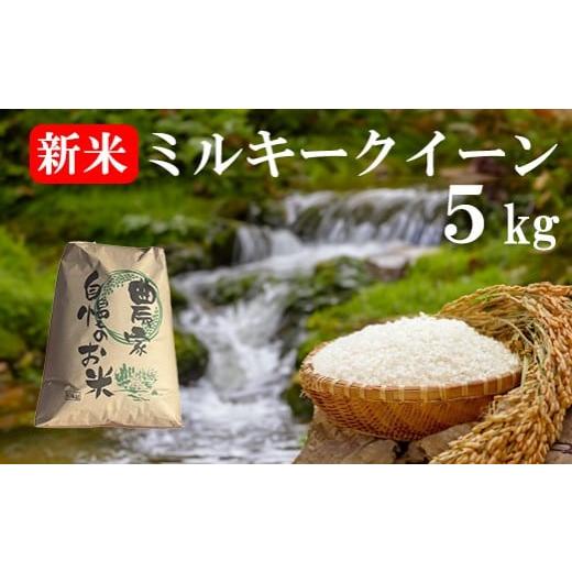 ふるさと納税 米 ミルキークイーン 山梨県 富士川町 数量限定 山梨県産 [新米]ミルキークイーン 5kg お米 米 精米 色彩選別 ライス 山梨 やまなし 富士…