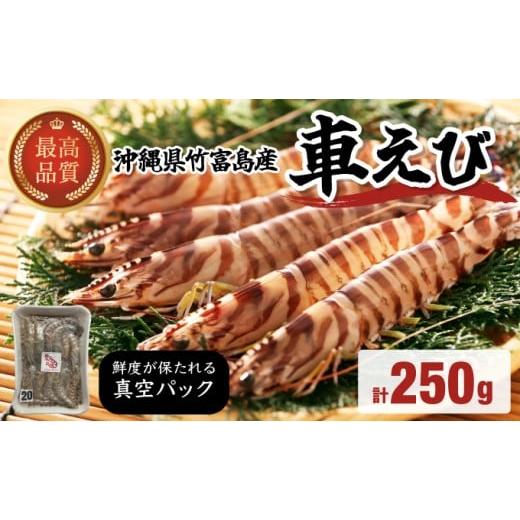 ふるさと納税 エビ 車エビ 沖縄県 竹富町 車えび 竹富島産 真空パック(冷凍) 250g