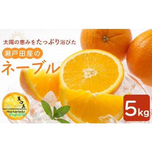 ふるさと納税 みかん・柑橘類 オレンジ 広島県 尾道市 太陽の恵みをたっぷり浴びた瀬戸田産のネーブル 5キロ