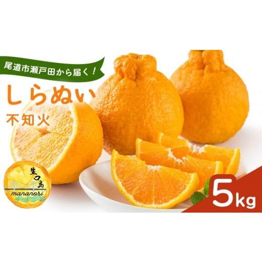 ふるさと納税 みかん・柑橘類 デコポン 広島県 尾道市 尾道市瀬戸田から届く しらぬい(不知火)5キロ