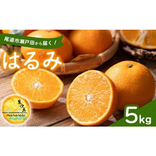 ふるさと納税 みかん・柑橘類 広島県 尾道市 尾道市瀬戸田から届く はるみ 5キロ