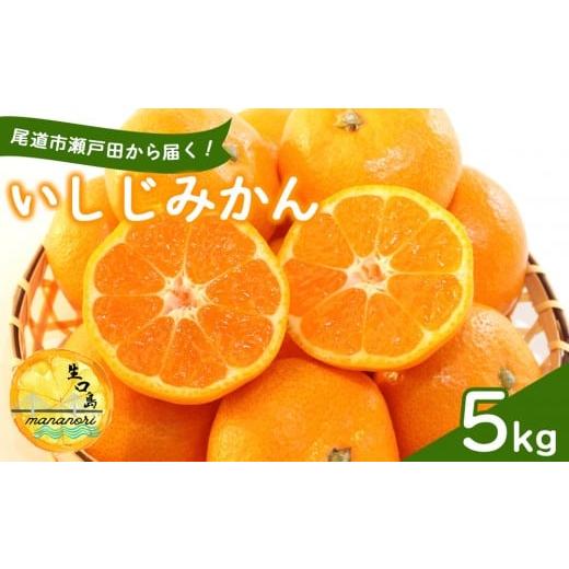 ふるさと納税 果物類 みかん 広島県 尾道市 尾道市瀬戸田から届く いしじみかん 5キロ