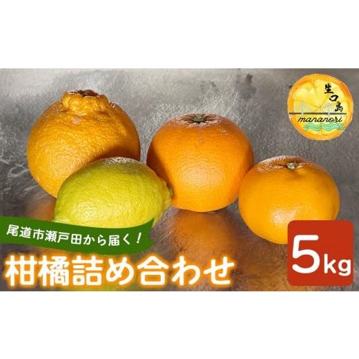 ふるさと納税 果物類 みかん 広島県 尾道市 尾道市瀬戸田から届く 柑橘詰合せ 5キロ