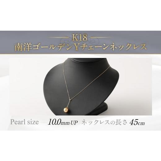 ふるさと納税 アクセサリー ネックレス 福岡県 嘉麻市 K18 南洋ゴールデン 真珠 Y チェーン ネックレス (45cm)
