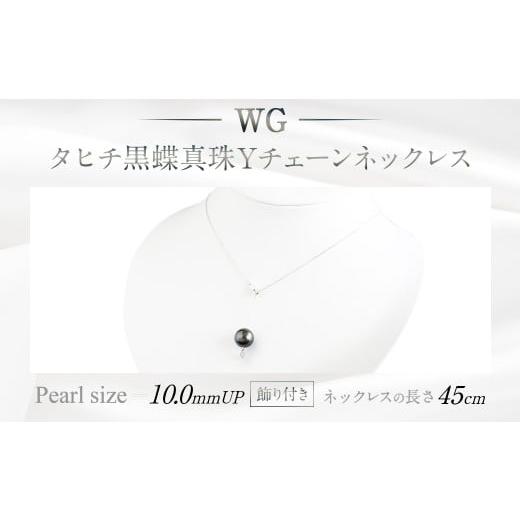 ふるさと納税 アクセサリー ネックレス 福岡県 嘉麻市 WG(K18) 黒蝶真珠 Y チェーン ネックレス (45cm)(飾り付き)