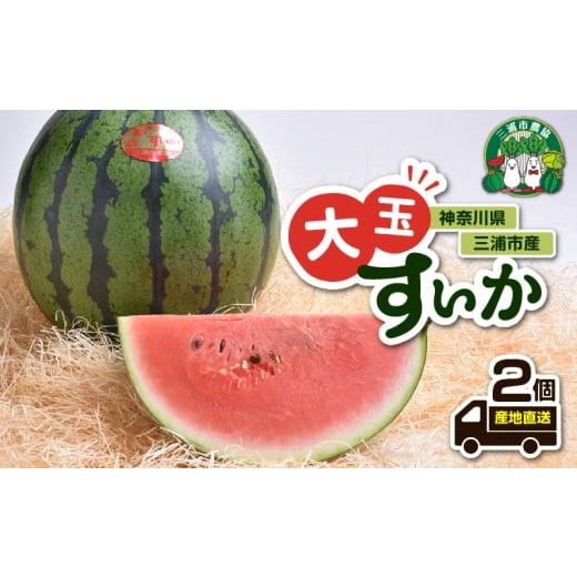 ふるさと納税 スイカ 神奈川県 三浦市 神奈川県三浦市産大玉すいか(2個)
