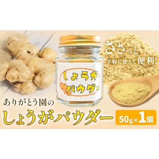ふるさと納税 加工品等 岡山県 矢掛町 しょうがパウダー 50g 1個 ありがとう園[60日以内に出荷予定(土日祝除く)]岡山県 矢掛町 生姜 しょうが パウダー 野菜…