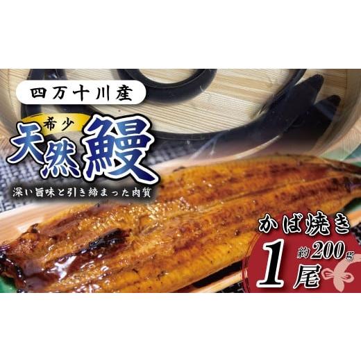 ふるさと納税 うなぎ 高知県 四万十市 希少 四万十川産 天然うなぎ 蒲焼 1尾(約200g) 天然うなぎ 天然 四万十川 希少 鰻 ウナギ うなぎ お取り寄せ グルメ …