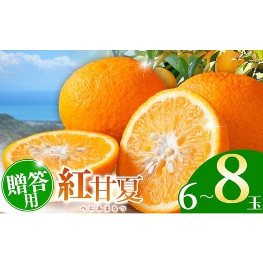 ふるさと納税 みかん・柑橘類 熊本県 玉名市 贈答用 紅甘夏 6玉〜8玉 | フルーツ 果物 くだもの 柑橘 ミカン みかん 甘夏 あまなつ 熊本県 玉名市