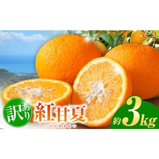 ふるさと納税 みかん・柑橘類 熊本県 玉名市 訳あり 紅甘夏 約 3kg | フルーツ 果物 くだもの 柑橘 ミカン みかん 甘夏 あまなつ 熊本県 玉名市 3kg | 寄附額…