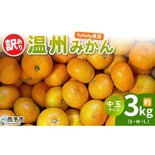 ふるさと納税 果物類 みかん 愛媛県 西予市 fululy直送 温州みかん 訳あり 約3kg 中玉サイズ(S〜L) ワケアリ サイズ混合 中玉 果物 フルーツ 蜜柑 うんしゅ…