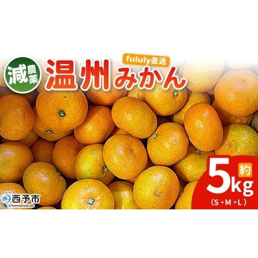 ふるさと納税 果物類 みかん 愛媛県 西予市 fululy直送 減農薬温州みかん 約5kg サイズ混合 果物 フルーツ 蜜柑 温州ミカン うんしゅうみかん ウンシュウミカ…