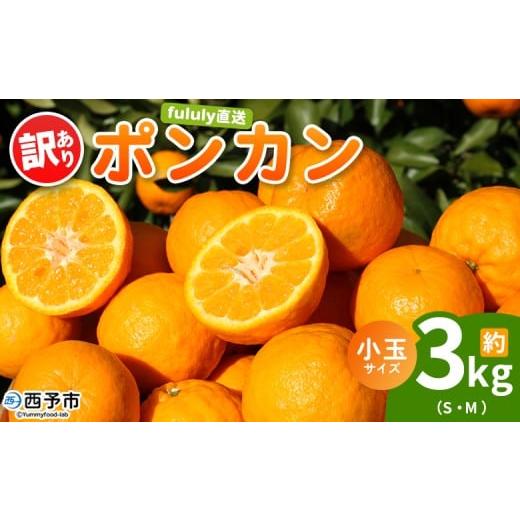 ふるさと納税 果物類 みかん 愛媛県 西予市 fululy直送 ポンカン 訳あり 約3kg 小玉サイズ(S〜M) ワケアリ サイズ混合 小玉 果物 フルーツ 蜜柑 ぽんかん …
