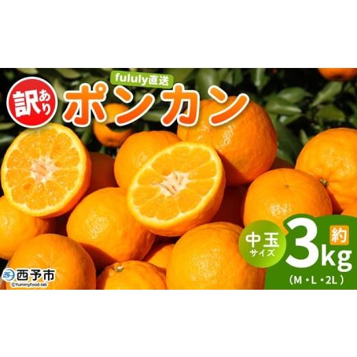 ふるさと納税 果物類 みかん 愛媛県 西予市 fululy直送 ポンカン 訳あり 約3kg 中玉サイズ(M〜2L) ワケアリ サイズ混合 中玉 果物 フルーツ 蜜柑 ぽんかん …