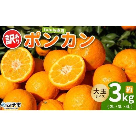 ふるさと納税 果物類 みかん 愛媛県 西予市 fululy直送 ポンカン 訳あり 約3kg 大玉サイズ(2L〜4L) ワケアリ サイズ混合 大玉 果物 フルーツ 蜜柑 ぽんかん…