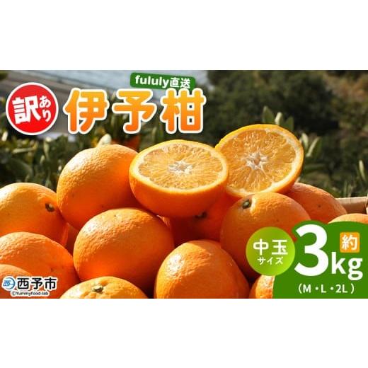 ふるさと納税 果物類 みかん 愛媛県 西予市 fululy直送 伊予柑 訳あり 約3kg 中玉サイズ(M〜2L) ワケアリ サイズ混合 中玉 果物 フルーツ 蜜柑 いよかん イ…