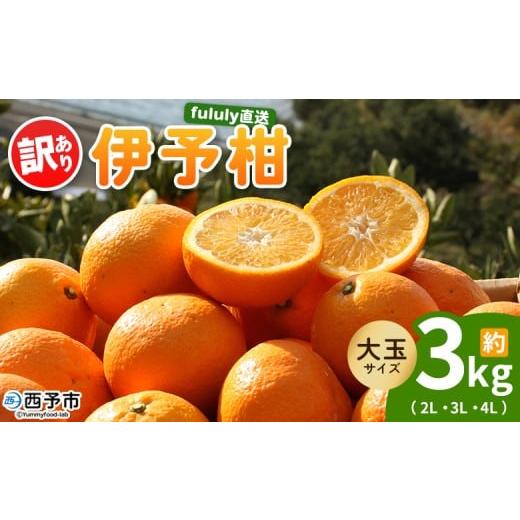 ふるさと納税 果物類 みかん 愛媛県 西予市 fululy直送 伊予柑 訳あり 約3kg 大玉サイズ(2L〜4L) ワケアリ サイズ混合 大玉 果物 フルーツ 蜜柑 いよかん …