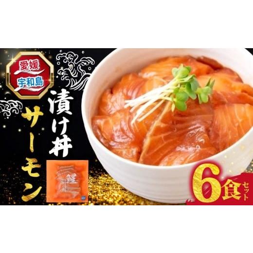 ふるさと納税 魚貝類 サーモン 愛媛県 宇和島市 海鮮丼 サーモン 漬け丼 6食 南予ビージョイ SALMON 刺身 お刺身 刺し身 漬け 漬丼 丼 丼ぶり 海鮮 人気 海の…