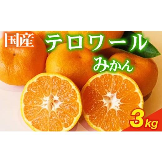 ふるさと納税 果物類 みかん 静岡県 牧之原市 先行予約 果樹園直送 美味しさが濃いね テロワールみかん 3kg (12月〜1月発送) 柑橘 みかん いたくら農園果…