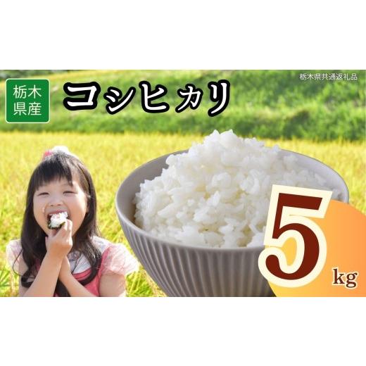 ふるさと納税 米 コシヒカリ 栃木県 下野市 栃木県産コシヒカリ 5kg | 2025年 2025年米 令和7年米 秋 白米 ごはん ご飯 小分け 人気 おいしい 旨い おにぎり …