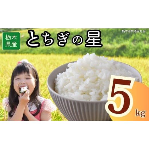 ふるさと納税 米 栃木県 下野市 栃木県産とちぎの星 5kg | 2025年 2025年米 令和7年米 秋 白米 ごはん ご飯 小分け 人気 おいしい 旨い おにぎり おむすび お…