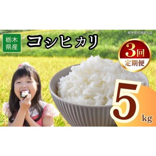 ふるさと納税 米 コシヒカリ 栃木県 下野市 定期便3回 栃木県産コシヒカリ 5kg | 2025年 2025年米 令和7年米 秋 白米 ごはん ご飯 小分け 人気 おいしい 旨い…