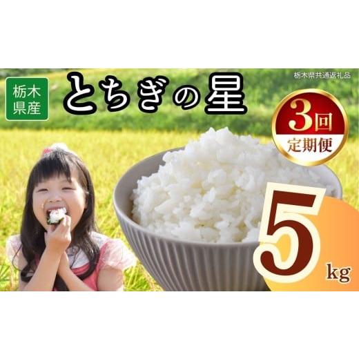 ふるさと納税 米 栃木県 下野市 定期便3回 栃木県産とちぎの星 5kg | 2025年 2025年米 令和7年米 秋 白米 ごはん ご飯 小分け 人気 おいしい 旨い おにぎり …