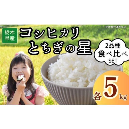 ふるさと納税 米 栃木県 下野市 栃木県産 お米食べ比べ コシヒカリ とちぎの星 合計10kg | 2025年 2025年米 令和7年米 秋 白米 ごはん ご飯 小分け 人気 おい…