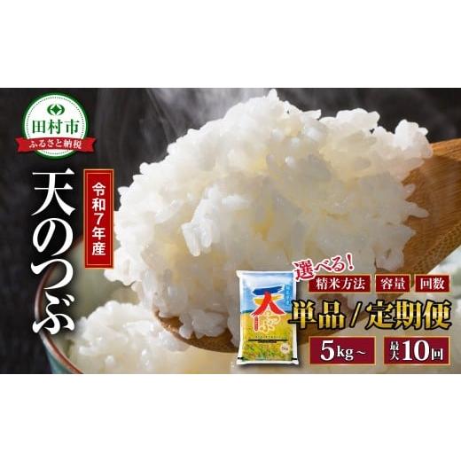 ふるさと納税 米 福島県 田村市 定期3回 令和7年産 天のつぶ 5kg 5月末終了 精米 白米 贈答 ギフト プレゼント 美味しい 米 kome コメ ご飯 ブランド米 精米…