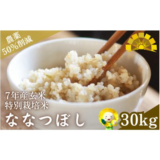 ふるさと納税 玄米 北海道 北竜町 玄米 特別栽培米 ななつぼし 30kg 新米 / ごはん こめ 米 お米 北海道 北海道米 kja400-nana-gt30-R7