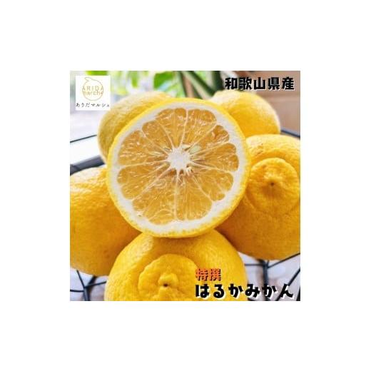 ふるさと納税 みかん・柑橘類 和歌山県 美浜町 特選 はるか 2kg | 蜜柑 柑橘 果物 フルーツ くだもの 果実 国産 和歌山