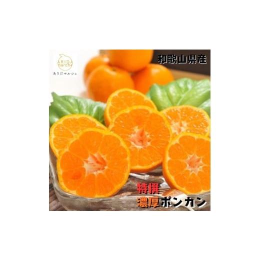 ふるさと納税 みかん・柑橘類 和歌山県 美浜町 特選 濃厚 ポンカン 2kg | みかん 蜜柑 柑橘 果物 フルーツ くだもの 果実 国産 和歌山県 晩柑