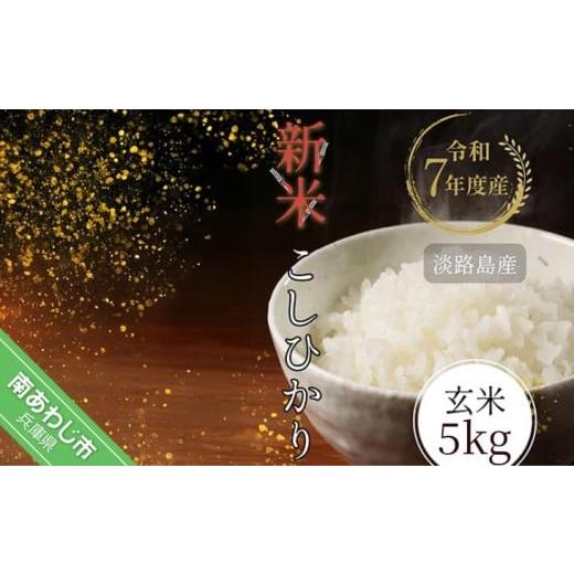 ふるさと納税 米 コシヒカリ 兵庫県 南あわじ市 令和7年産新米 淡路島産こしひかり 玄米5kg