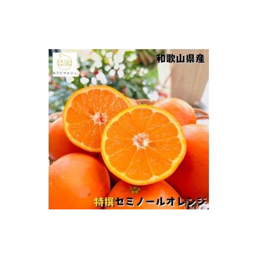 ふるさと納税 みかん・柑橘類 オレンジ 和歌山県 美浜町 特撰 セミノール 3kg | みかん 高級 くだもの 晩柑 柑橘 和歌山