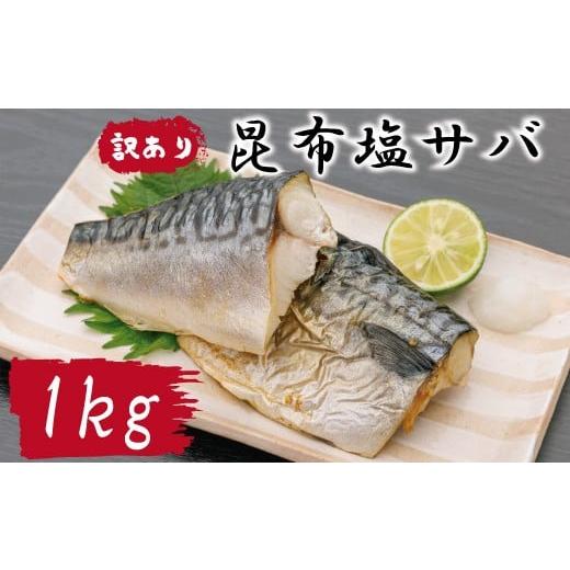 ふるさと納税 魚貝類 愛媛県 四国中央市 訳あり サバ さば 塩さば 塩サバ 塩鯖 昆布 昆布塩 1kg 冷凍 フィレ フィーレ 切り身 大容量 四国中央市 紙のまち 日…