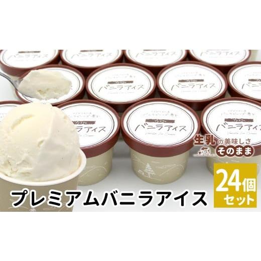 ふるさと納税 菓子 アイス 長野県 根羽村 マダガスカル産 バニラビーンズ香る バニラアイスクリーム 24個 80ml 生乳 牛乳 ミルク スイーツ アイスクリーム バ…