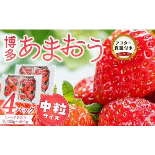 ふるさと納税 いちご 福岡県 久留米市 福岡県産あまおういちご 280g〜300g×4パック(中粒) 3月〜4月発送 _ いちご あまおう 中粒 4パック 宇佐川農園 果物 …