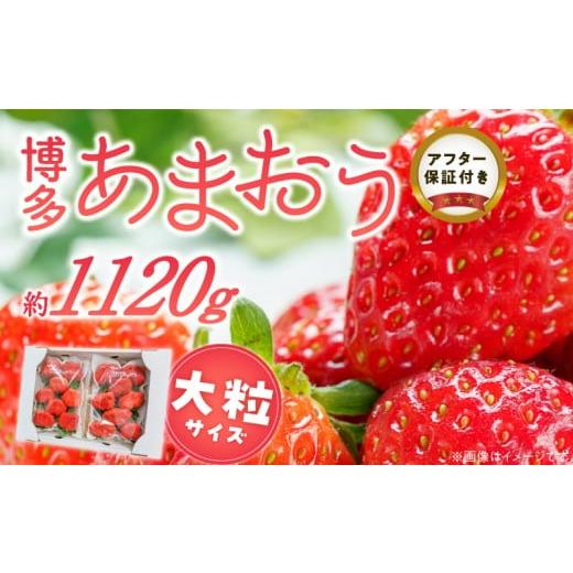 ふるさと納税 いちご 福岡県 久留米市 福岡県産あまおういちご 約280g以上×4パック(大粒) 3月〜4月発送 _ いちご あまおう 大粒 4パック 宇佐川農園 果物 …