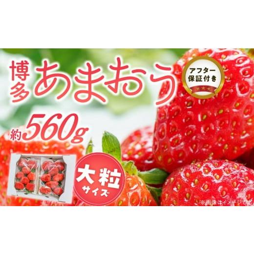 ふるさと納税 いちご 福岡県 久留米市 福岡県産あまおういちご 約280g以上×2パック(大粒) 3月〜4月発送 _ いちご あまおう 大粒 2パック 宇佐川農園 果物 …