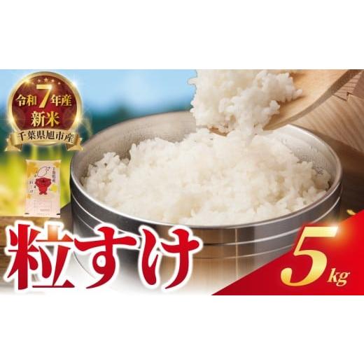 ふるさと納税 米 千葉県 旭市 令和7年産 新米 米 粒すけ 5kg 最短7営業日以内発送 精米 白米 新米5kg 7年産 お米 ご飯 こめ おこめ コメ ライス ご飯 ごはん …