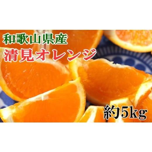 ふるさと納税 みかん・柑橘類 オレンジ 和歌山県 串本町 和歌山県産清見オレンジ約5kg(サイズ混合) 2026年3月中旬〜2026年4月上旬頃に順次発送
