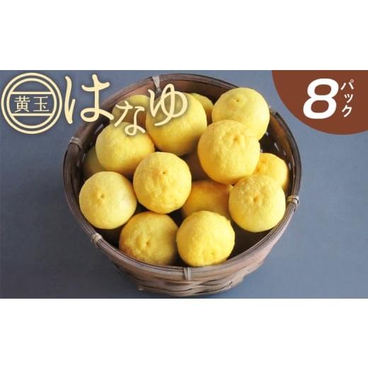 ふるさと納税 みかん・柑橘類 高知県 香南市 柚子 花柚子 虎弥太郎 はなゆ黄玉 8パック - 国産 ゆず 柚子 ユズ 花柚子 柑橘 香酸柑橘 果物 花皮果汁 フルーツ…