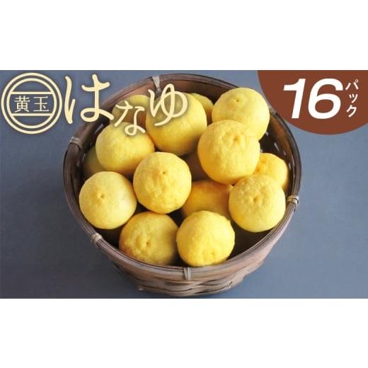 ふるさと納税 みかん・柑橘類 高知県 香南市 花柚子 柚子 虎弥太郎 はなゆ黄玉 16パック - 国産 ゆず 柚子 ユズ 花柚子 柑橘 香酸柑橘 果物 花皮果汁 フルーツ…