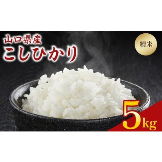 ふるさと納税 米 コシヒカリ 山口県 下関市 令和7年度米 こしひかり 5kg 山口県産 精米 白米 こめ コメ お米 ご飯 ごはん 下関 山口